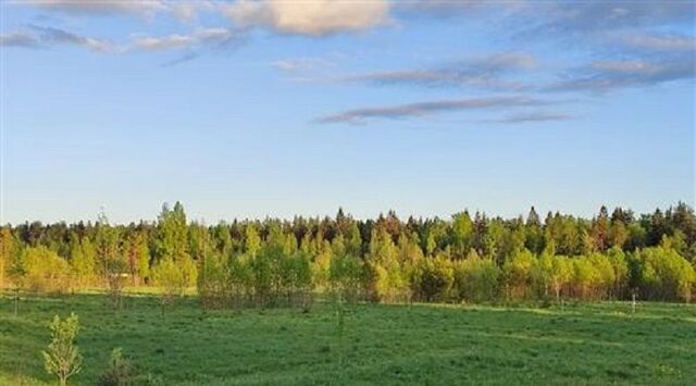 земля Рахьинское городское поселение фото