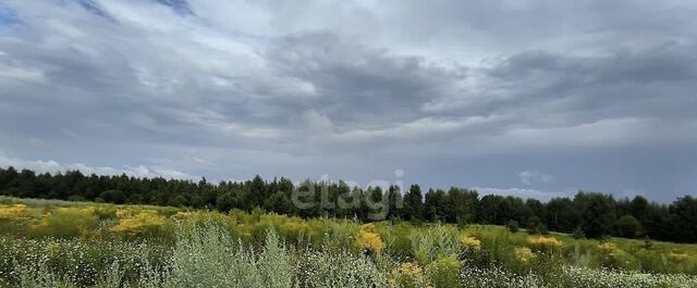 тер. ТСН Крылатское ул Ижевская фото