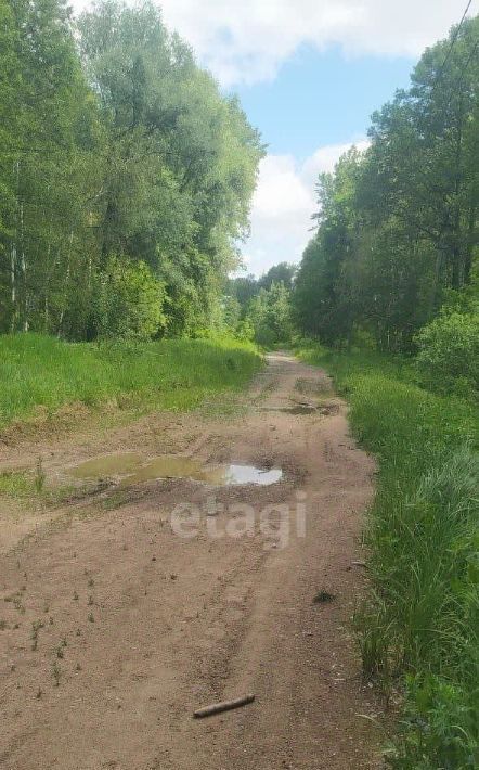 дом р-н Алнашский д Чумали ул Центральная фото 12