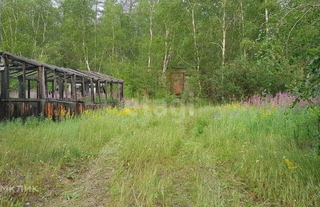 городской округ Якутск, Республика Саха Якутия, СОТ Энтузиаст фото