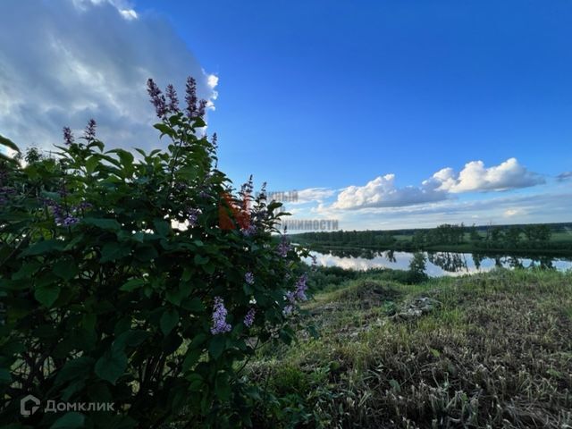 земля р-н Тюменский село Каменка фото 5