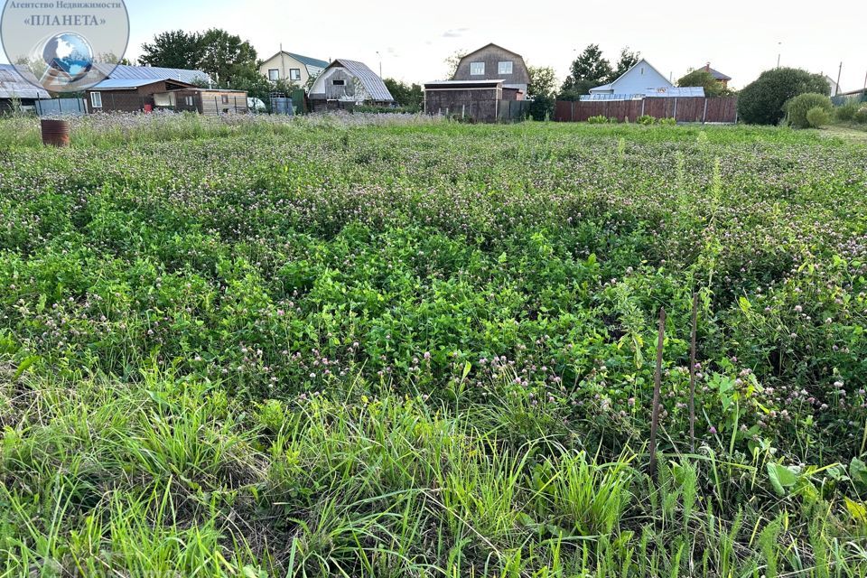 земля городской округ Богородский деревня Боровково фото 1