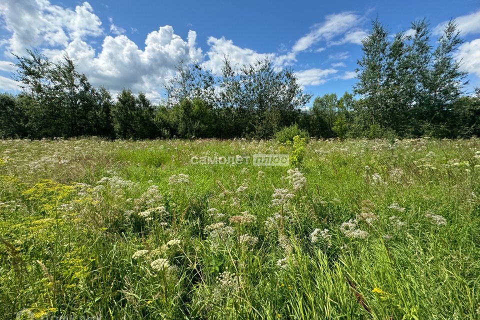 земля г Домодедово Белые Столбы, городской округ Домодедово фото 2