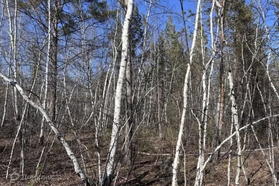 земля г Якутск пр-д Раздольный городской округ Якутск фото 2