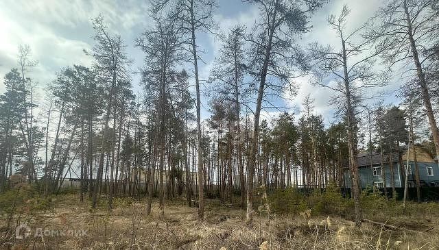 городской округ Якутск, Квартал 113 фото