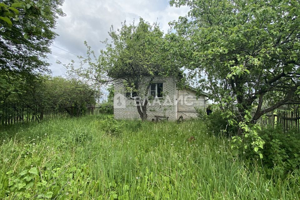 земля р-н Суздальский СНТ Родник фото 1