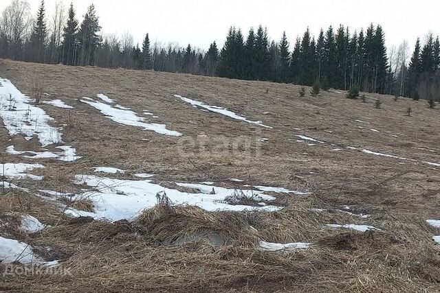 деревня Койтыбож фото