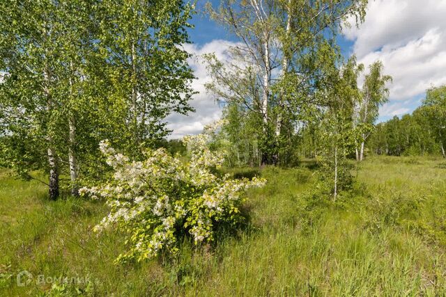 р-н Кетовский село Новая Сидоровка фото