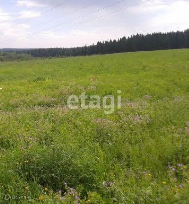 дом г Пермь городской округ Пермь, Кировский фото 4