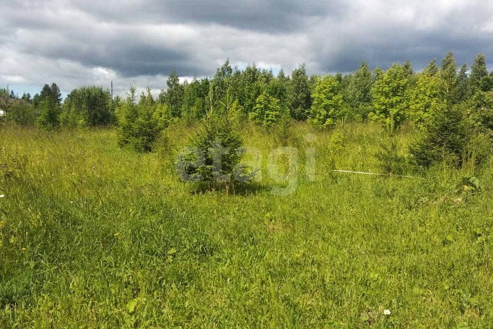 дом Добрянский городской округ, территория урочище Королёво, улица Мира фото 3