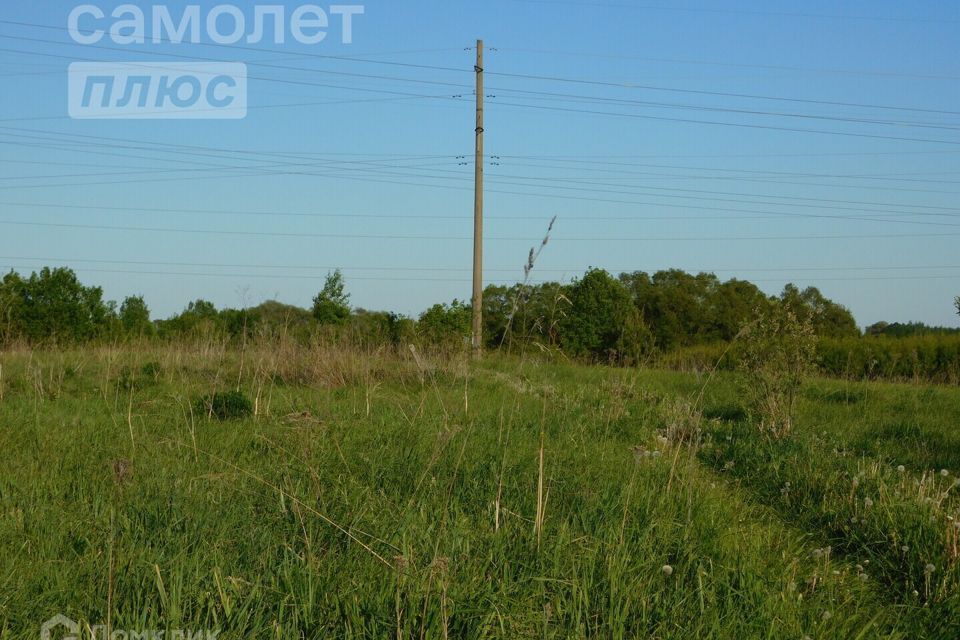 земля р-н Малоярославецкий д Митинка ул Лесная фото 8