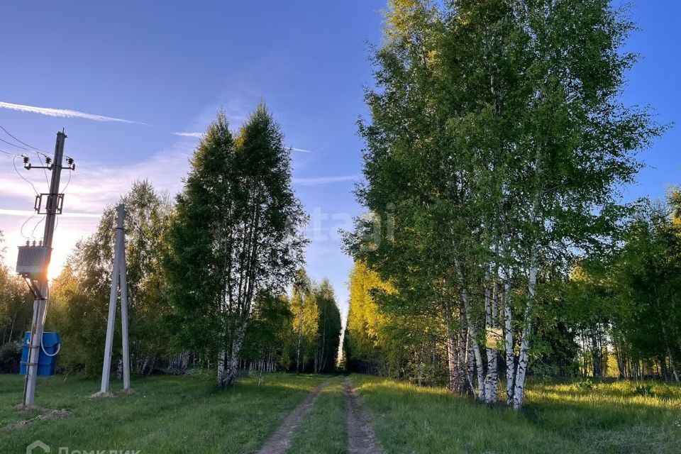 земля р-н Некрасовский с Диево-Городище ул Некрасовская фото 5