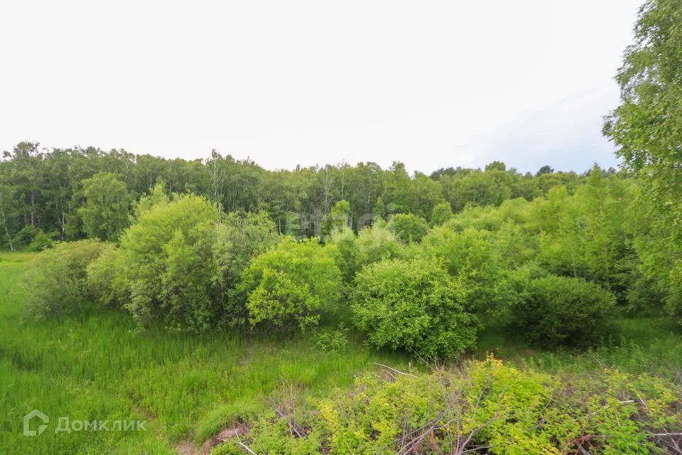 земля г Иркутск Иркутск, Свердловский округ, муниципальное образование фото 10