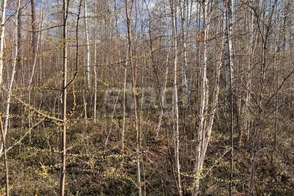 земля городской округ Якутск, Республика Саха Якутия, садово-огородническое товарищество Авиатор фото 4