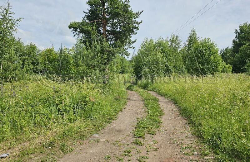 земля р-н Подпорожский г Подпорожье ул Северная Подпорожское городское поселение фото 1