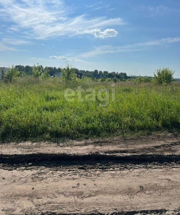 земля р-н Первомайский п Новый ул Берёзовская фото 5