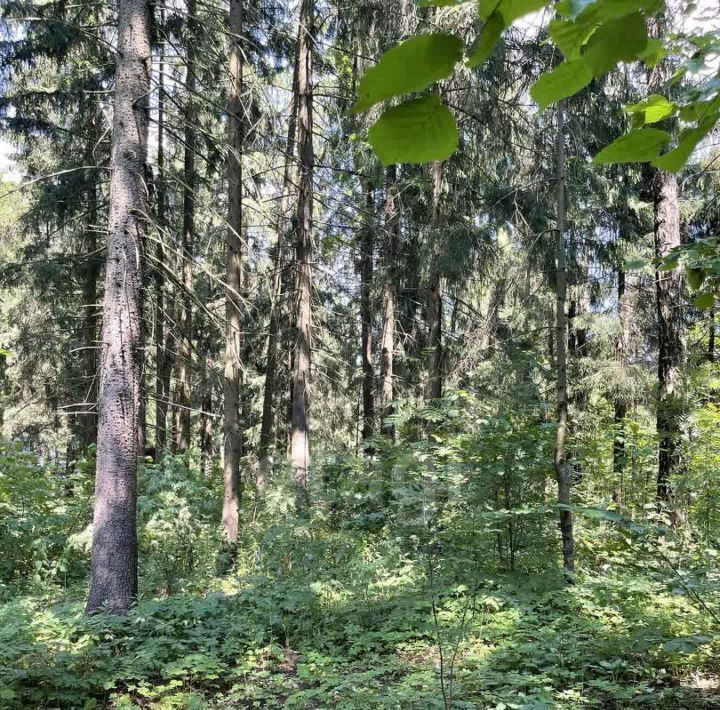 дом городской округ Мытищи д Голенищево Юпитер садовое товарищество фото 7