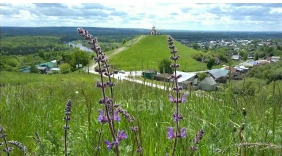 земля р-н Чердаклинский с Крестово Городище ул Калинина Крестовогородищенское с/пос фото 2