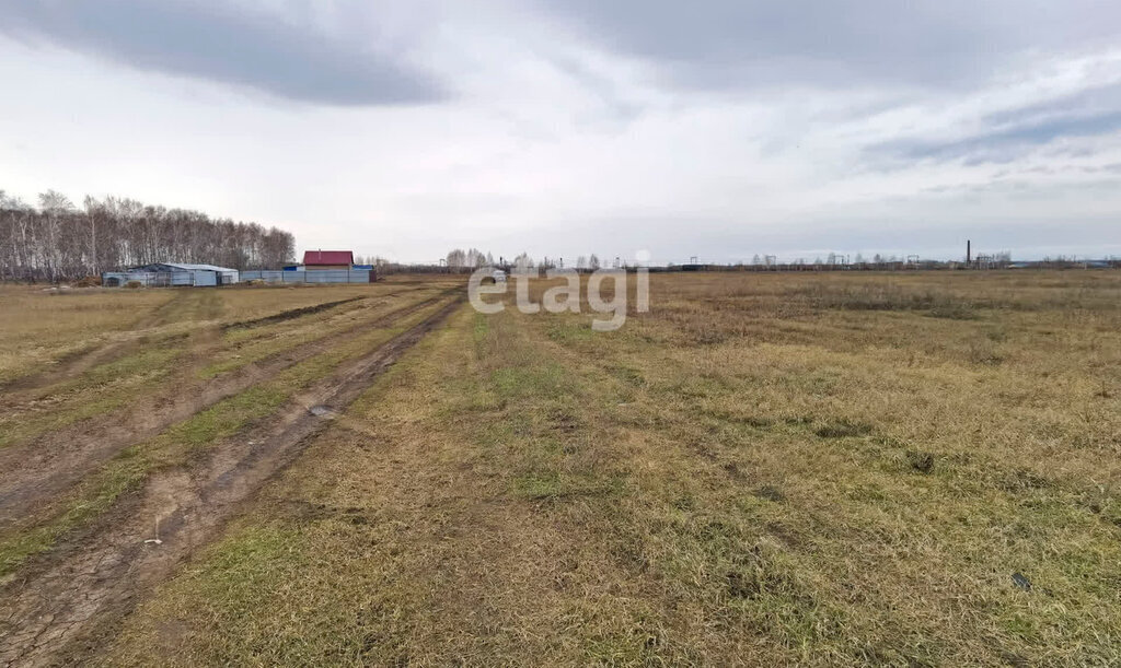 земля р-н Омский п Омский ул Новая фото 1