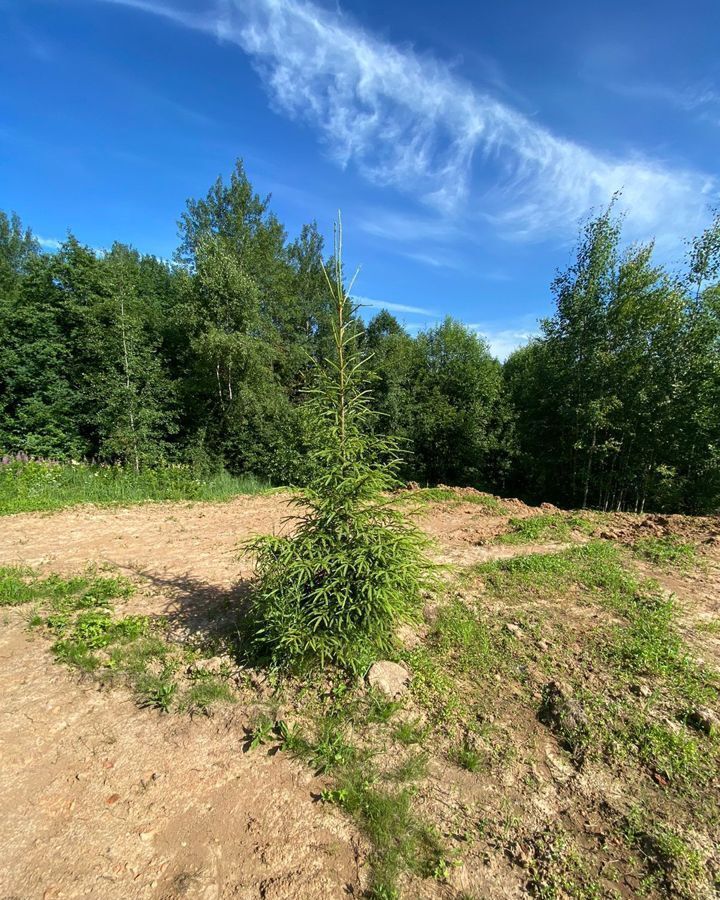 земля городской округ Сергиево-Посадский д Машутино Скоропусковский фото 5