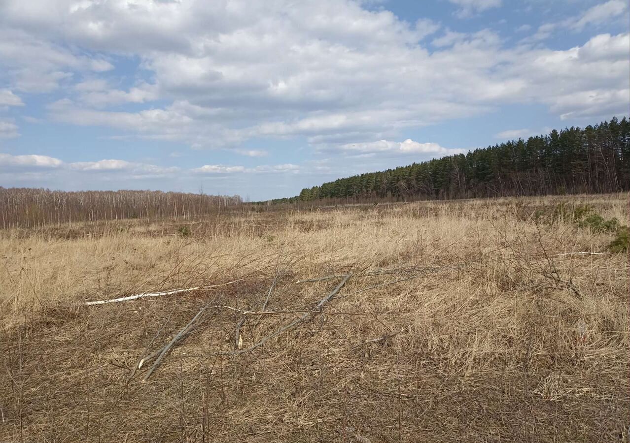 земля р-н Богородский п Центральный фото 1