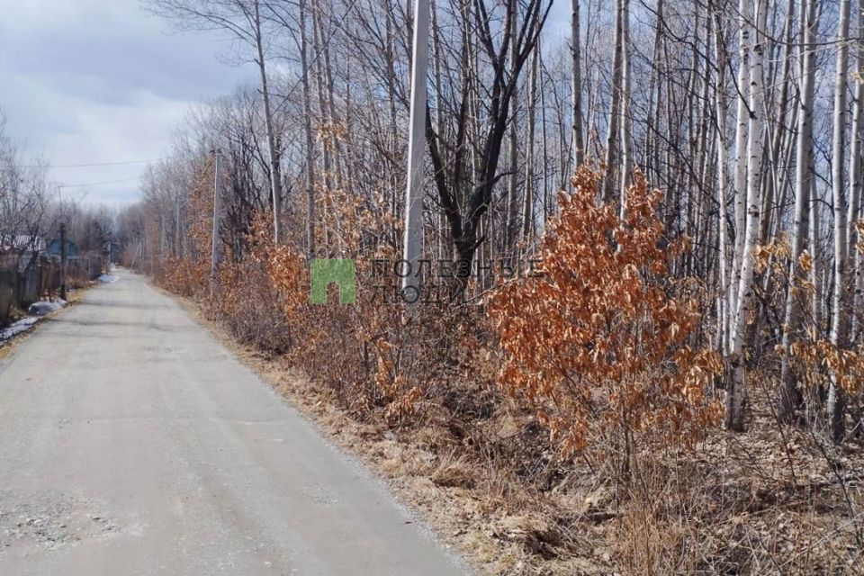 земля р-н Хабаровский с Черная Речка СНТ Озерки фото 1