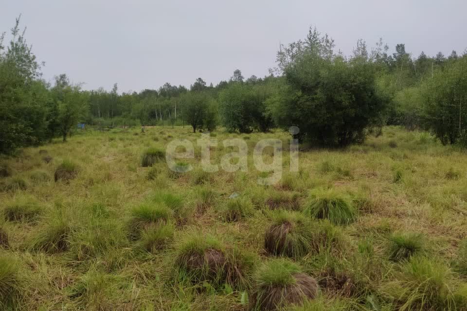 земля г Якутск городской округ Якутск, территория СХПК Хатасский фото 3