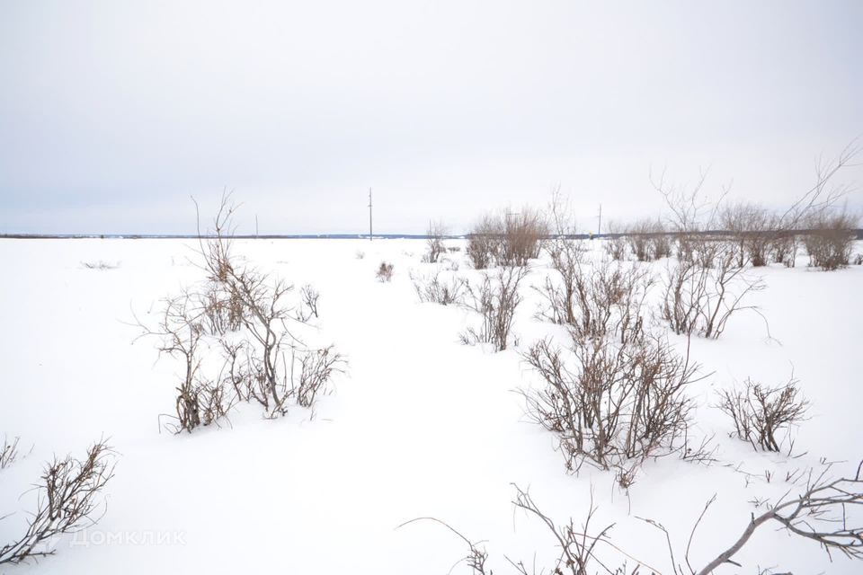 земля г Якутск фото 9