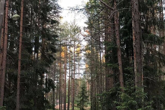 дом 27 Медвежьегорское городское поселение фото