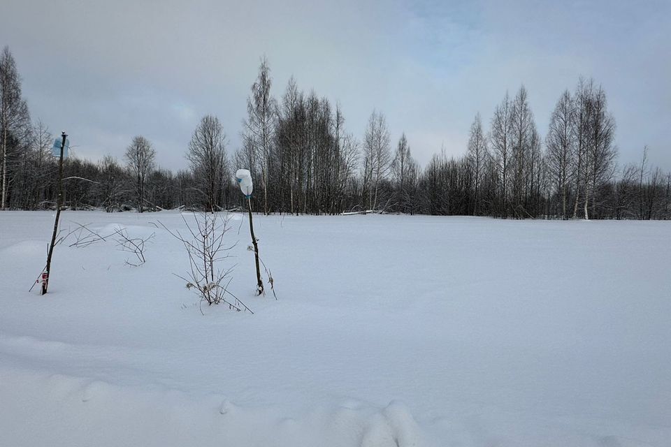 земля р-н Череповецкий д Циково ул Лучистая фото 4