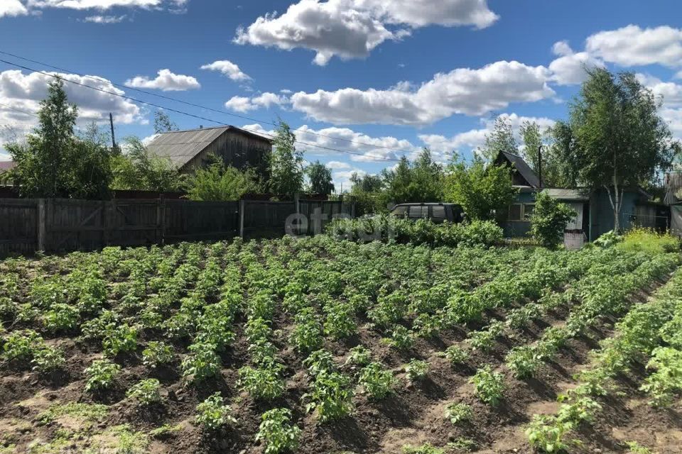 земля п Жатай снт Лена ул Витимская городской округ Жатай фото 3