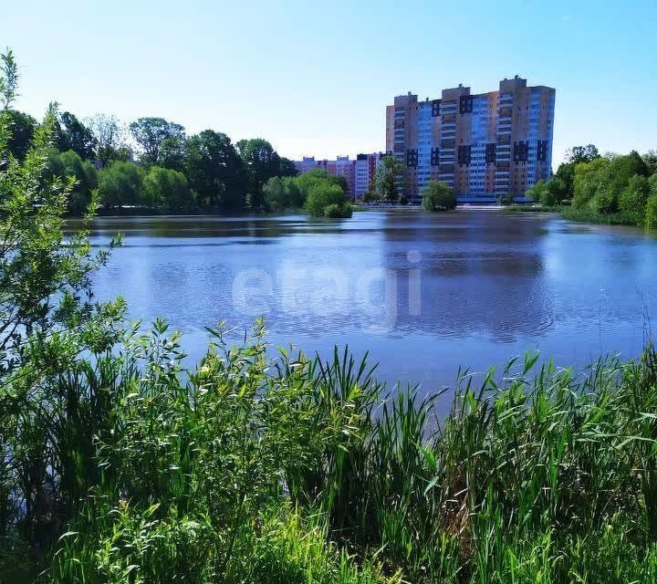 квартира г Калининград р-н Московский ул Автомобильная 24 городской округ Калининград фото 9