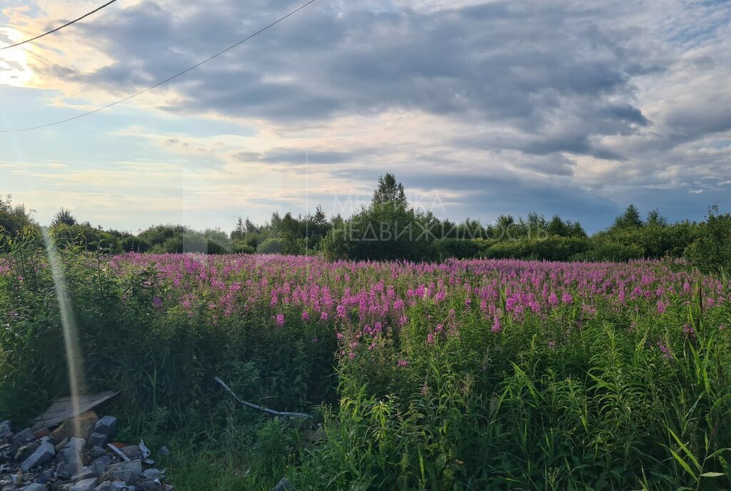 земля р-н Нижнетавдинский снт Фортуна фото 1