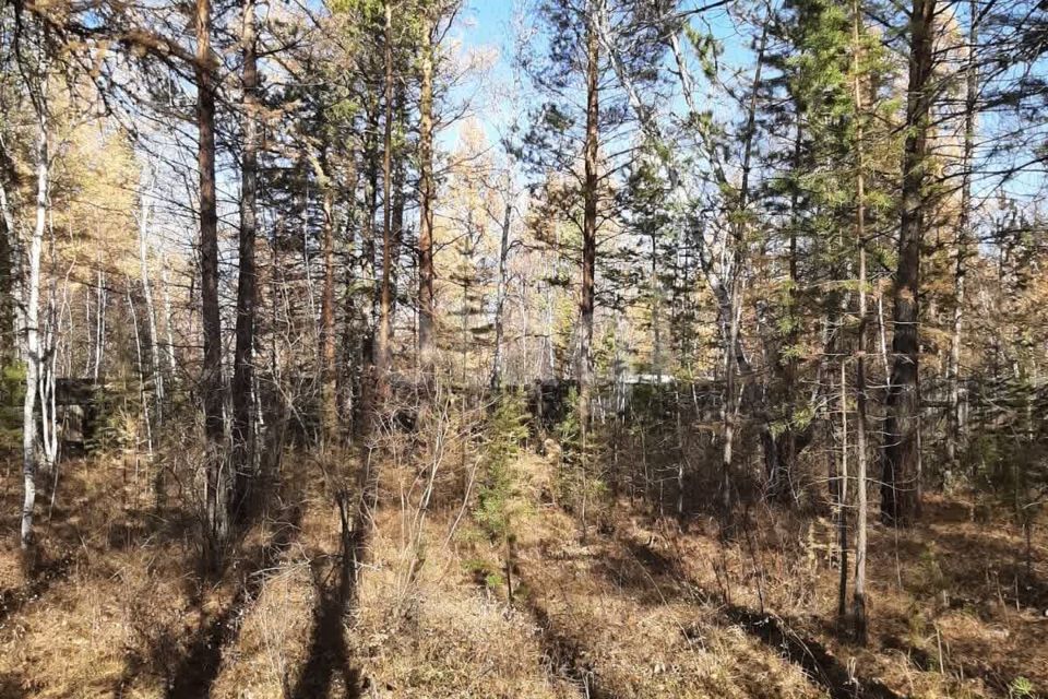 земля городской округ Якутск, Республика Саха Якутия, садовое товарищество участок Выделенный фото 5