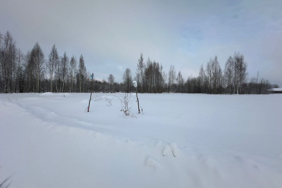 земля р-н Череповецкий д Циково ул Лучистая фото 5