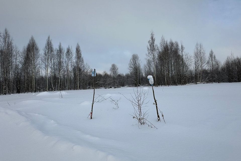 земля р-н Череповецкий д Циково ул Лучистая фото 6