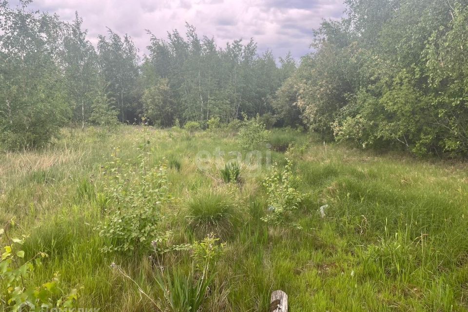 земля г Якутск городской округ Якутск, садово-огородническое товарищество Север фото 7