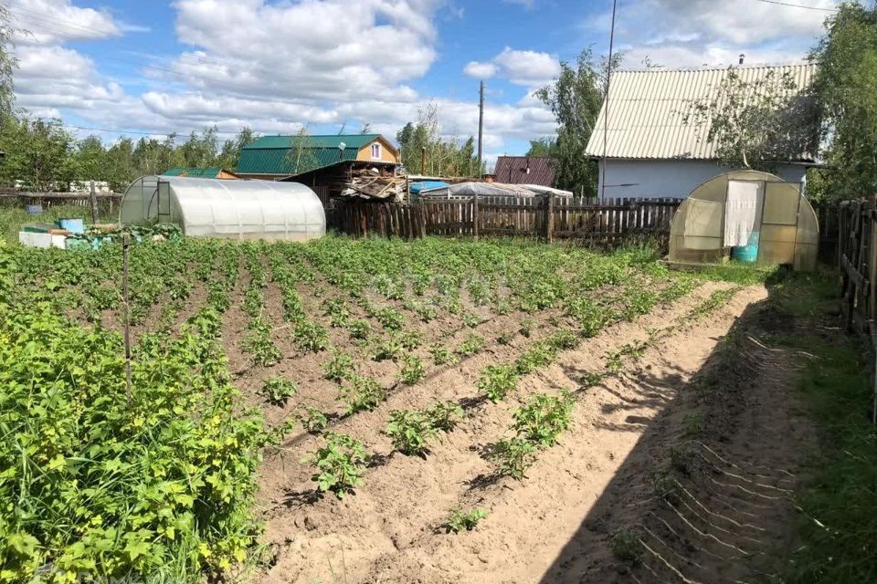 земля п Жатай снт Лена ул Витимская городской округ Жатай фото 7