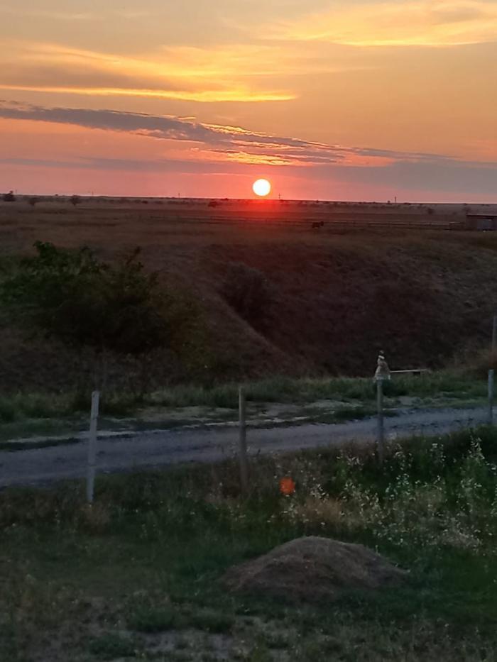 земля р-н Сакский с Молочное ул. Ленина, д. 1 фото 2