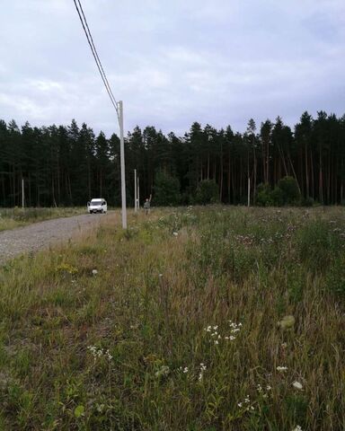 ул Покрышкина Новодарковичское сельское поселение, Брянск фото