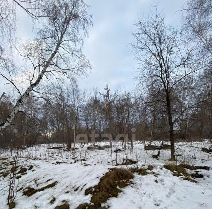 земля р-н Павловский с Павловск фото 4