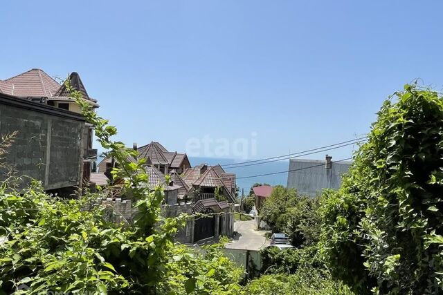 городской округ Сочи, садовое товарищество Рассвет фото