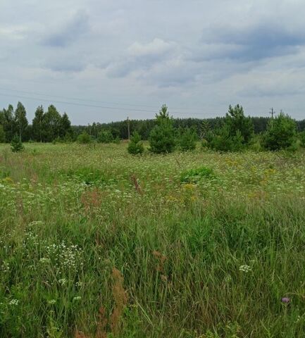 р-н Арзамасский с Чернуха Стырова фото