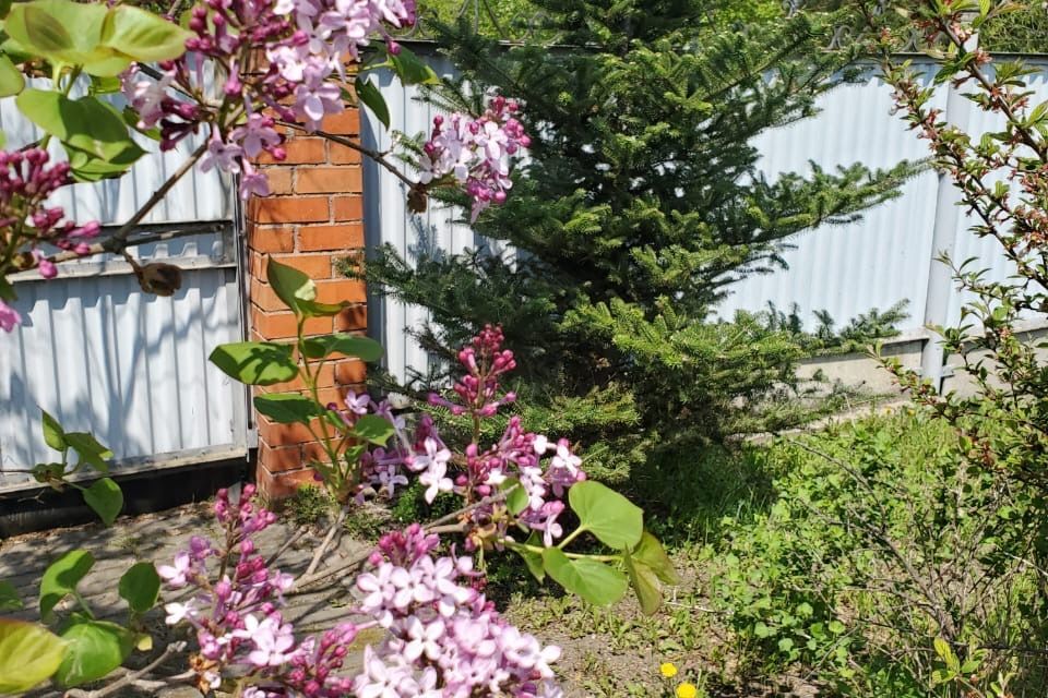 дом г Лесозаводск ул Свердлова 48 Лесозаводский городской округ фото 2