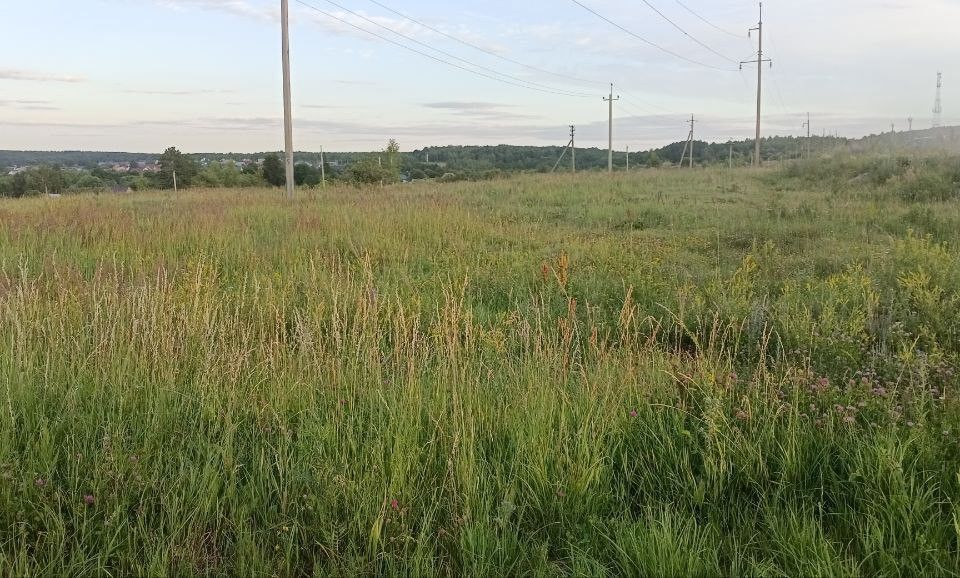 земля р-н Пензенский село Воскресеновка фото 4