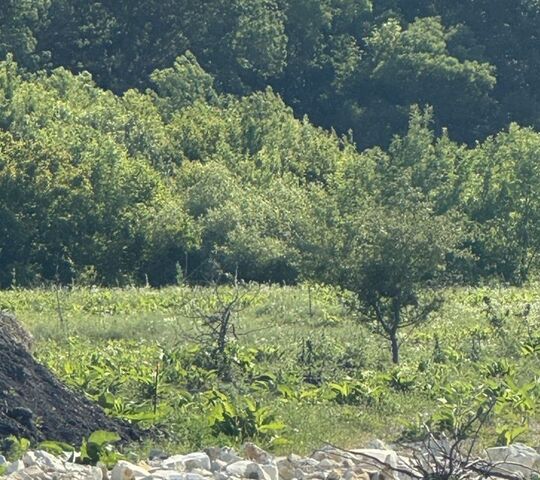 х Семигорский пер Ясельный муниципальное образование Новороссийск фото