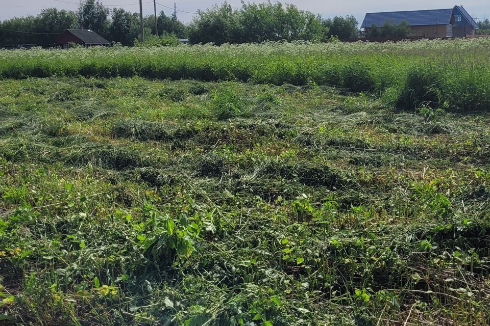 земля г Архангельск городской округ Архангельск, ТСН Малое Никольское фото 1