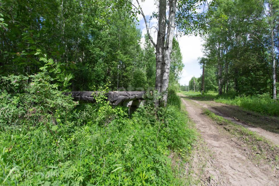 земля г Тобольск Центральная улица, городской округ Тобольск фото 5