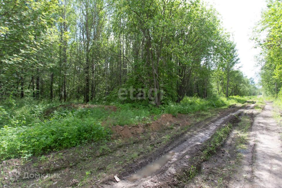 земля г Тобольск Центральная улица, городской округ Тобольск фото 6