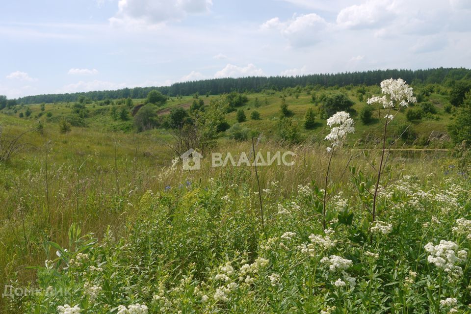 земля р-н Задонский село Юрьево фото 8